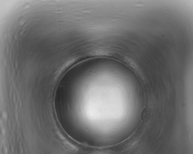 X0000061720625200512092001