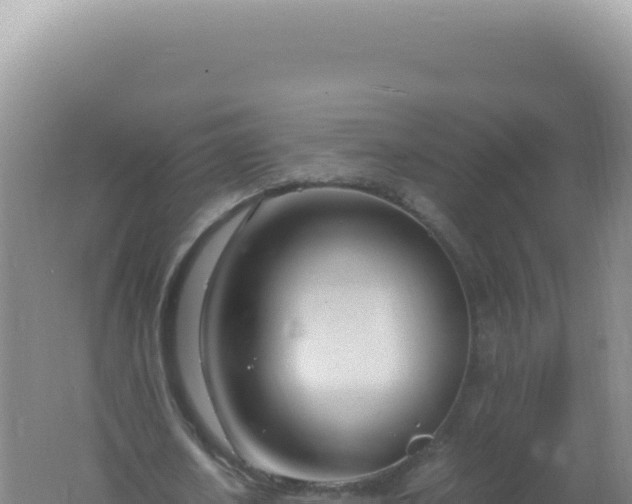 X0000061720626200512092001