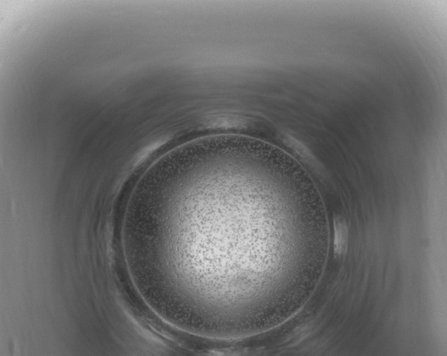 X0000061720627200512092001