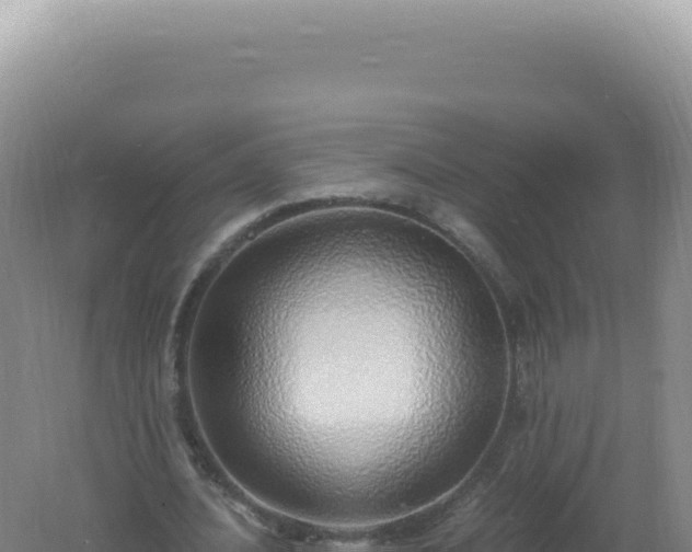 X0000061720628200512092001