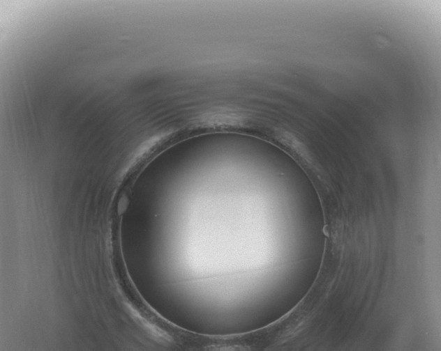 X0000061720629200512092001