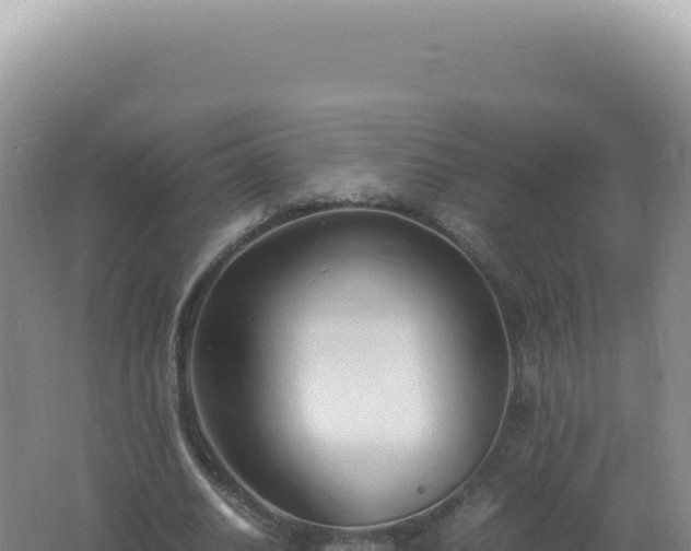 X0000061720630200512092001