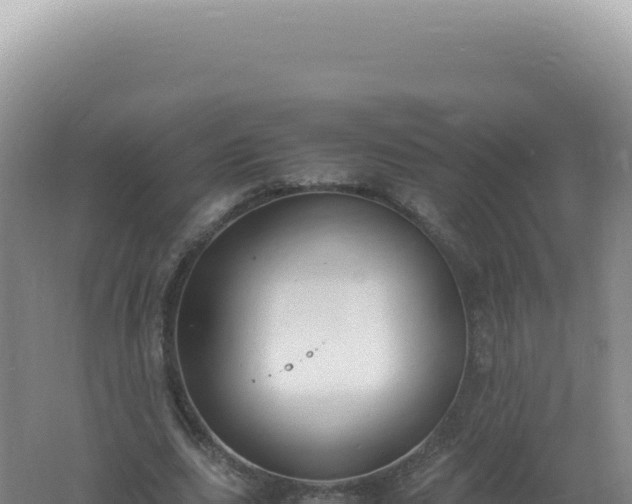 X0000061720631200512092001