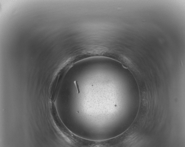 X0000061720634200512092001