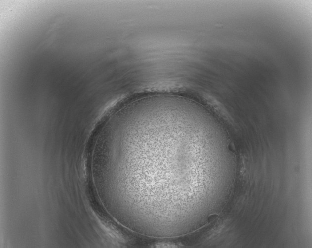 X0000061720636200512092001