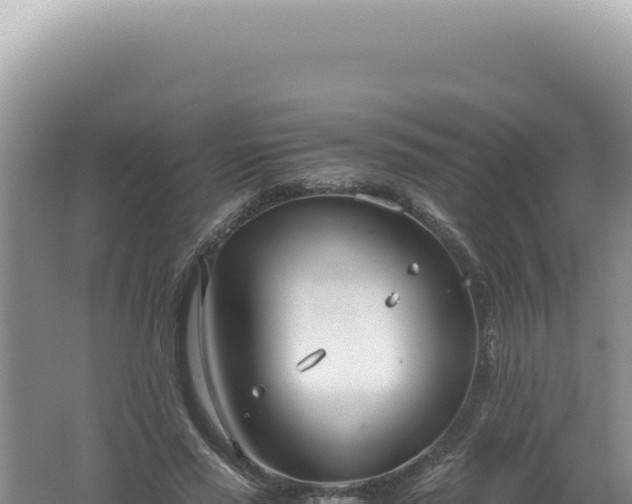 X0000061720637200512092001