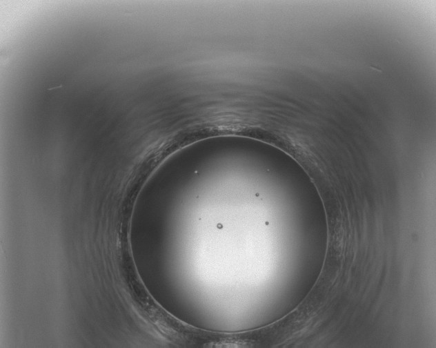 X0000061720639200512092001