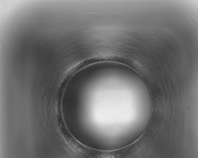 X0000061720640200512092001