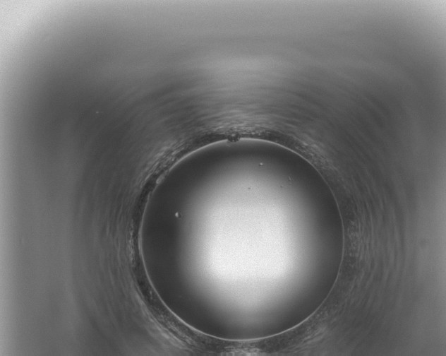 X0000061720642200512092001