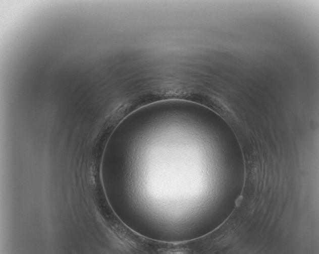 X0000061720643200512092001