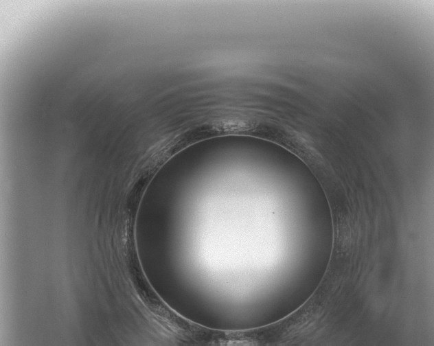 X0000061720645200512092001