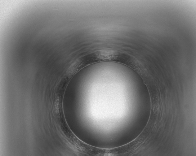 X0000061720647200512092001