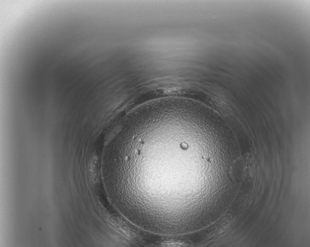 X0000061720650200512092001