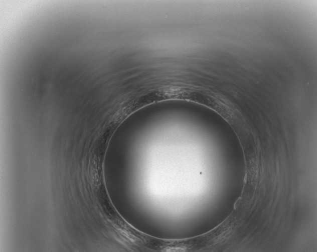 X0000061720653200512092001