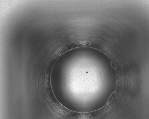 X0000061720656200512092002