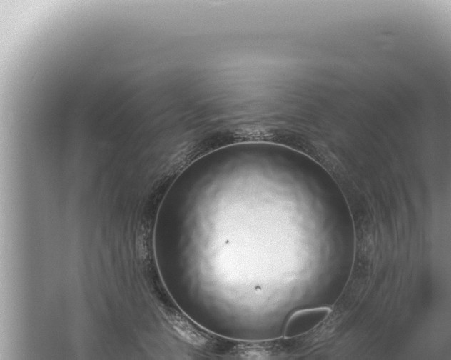 X0000061720658200512092002