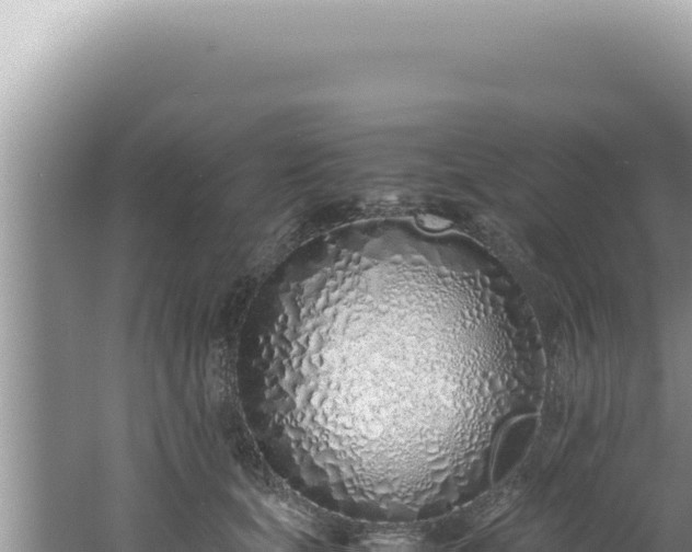 X0000061720659200512092002