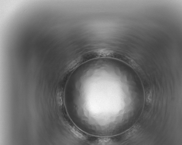 X0000061720666200512092002