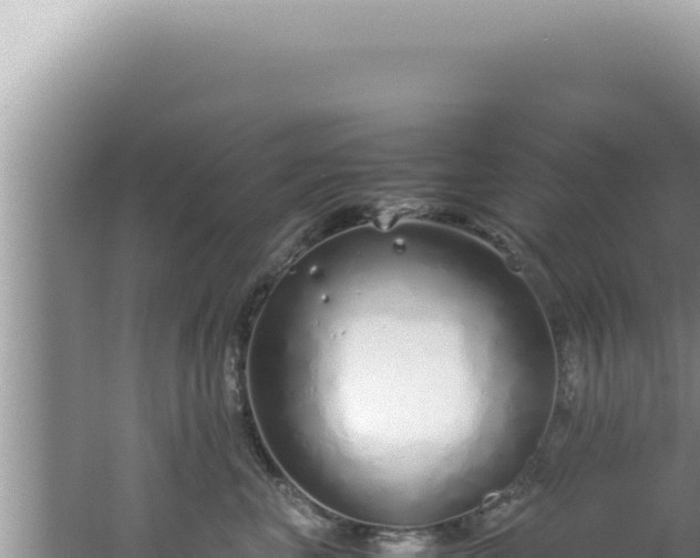 X0000061720667200512092002