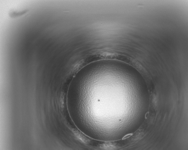 X0000061720668200512092002