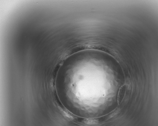 X0000061720670200512092002