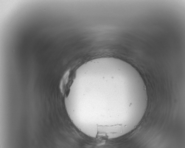 X0000061720672200512092002