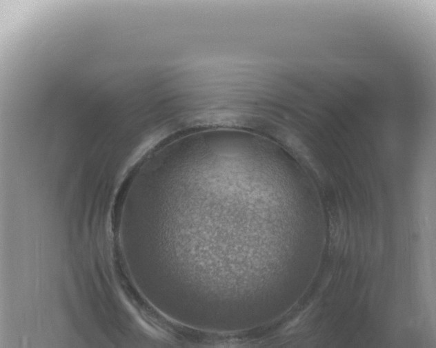 X0000061720674200512092001