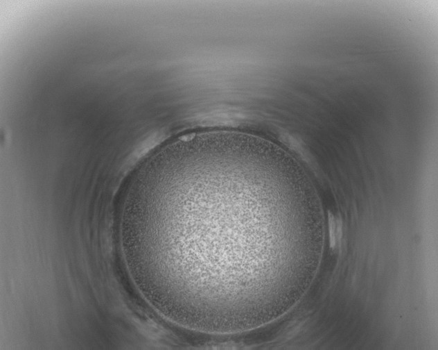 X0000061720675200512092001