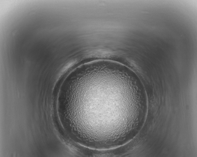 X0000061720679200512092001