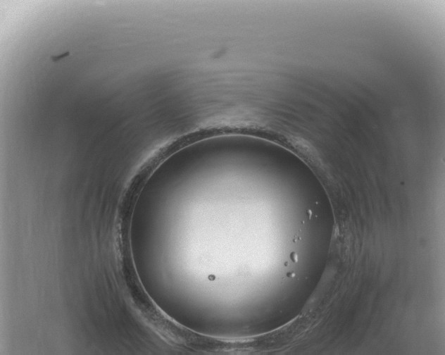 X0000061720680200512092001