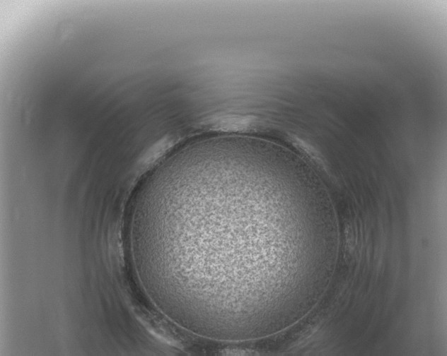 X0000061720682200512092001