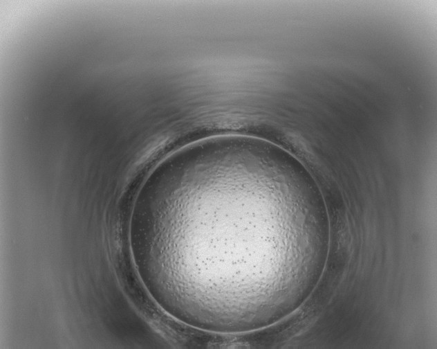 X0000061720683200512092001