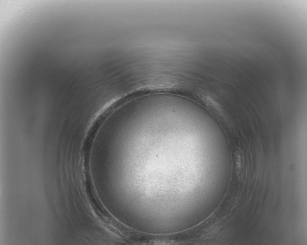 X0000061720684200512092001