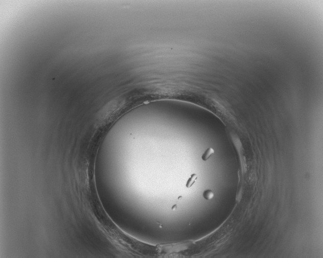 X0000061720685200512092001