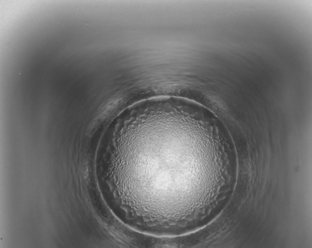 X0000061720687200512092001