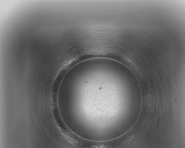 X0000061720688200512092001