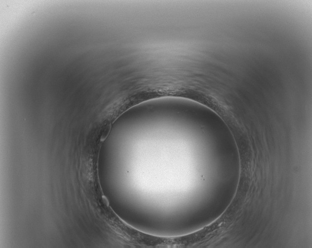 X0000061720689200512092001