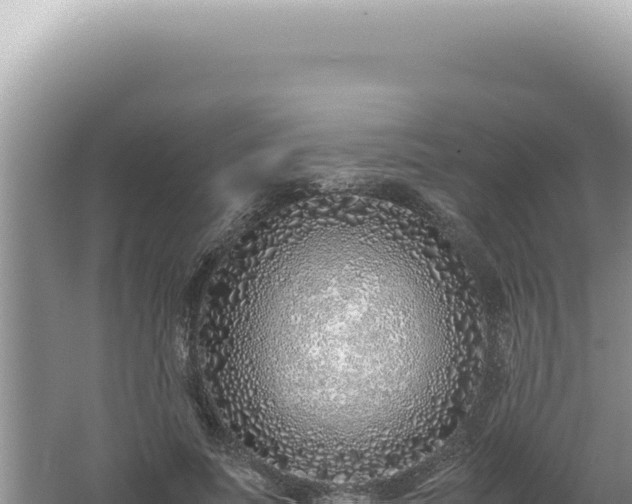 X0000061720691200512092001