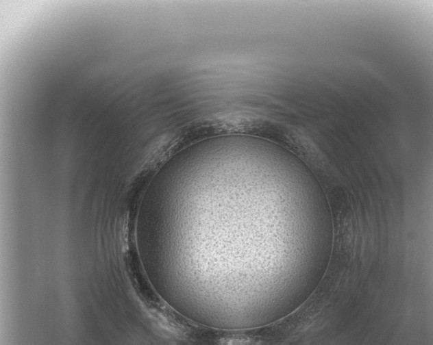 X0000061720694200512092001