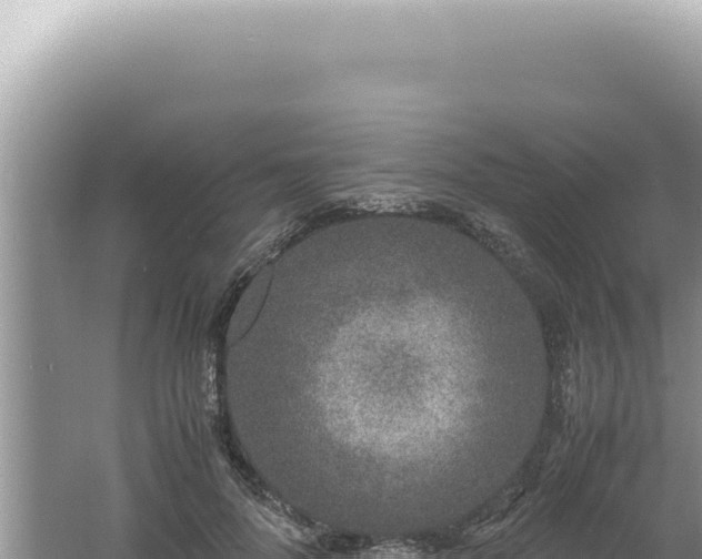 X0000061720696200512092001