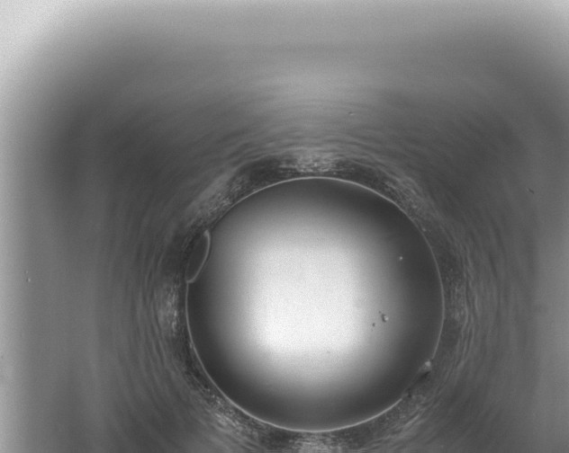 X0000061720697200512092001