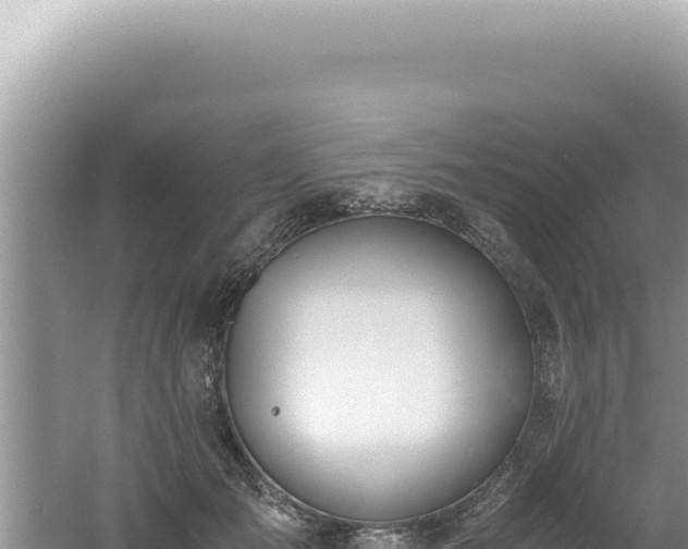 X0000061720701200512092000