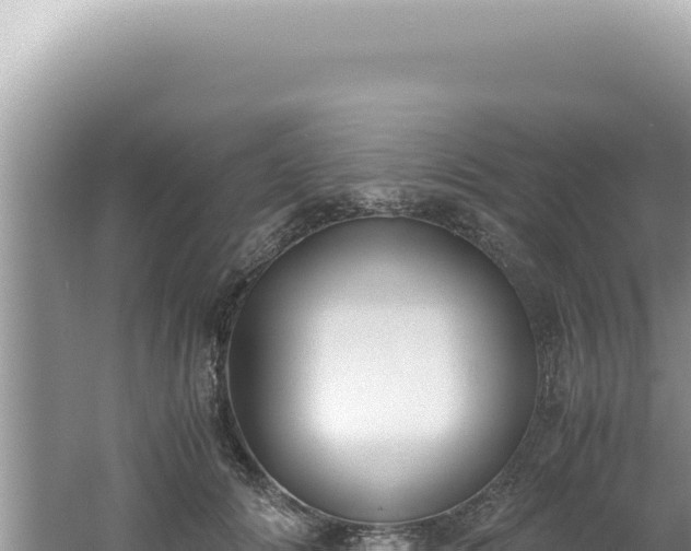 X0000061720702200512092000