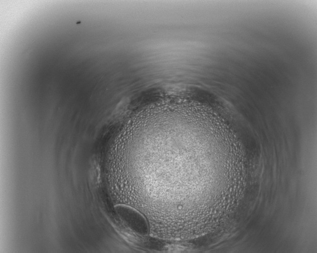 X0000061720703200512092000