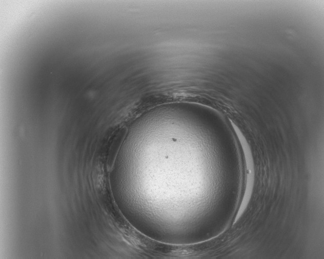 X0000061720704200512092000