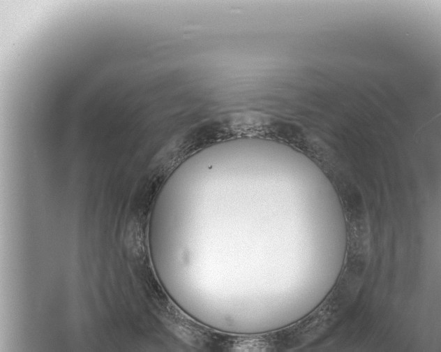 X0000061720705200512092000