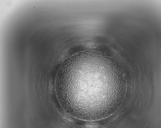 X0000061720707200512092000