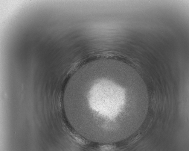 X0000061720708200512092000