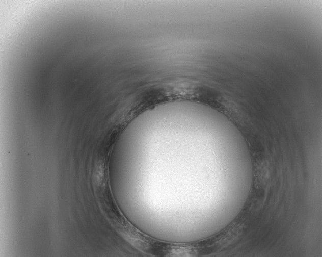 X0000061720709200512092000