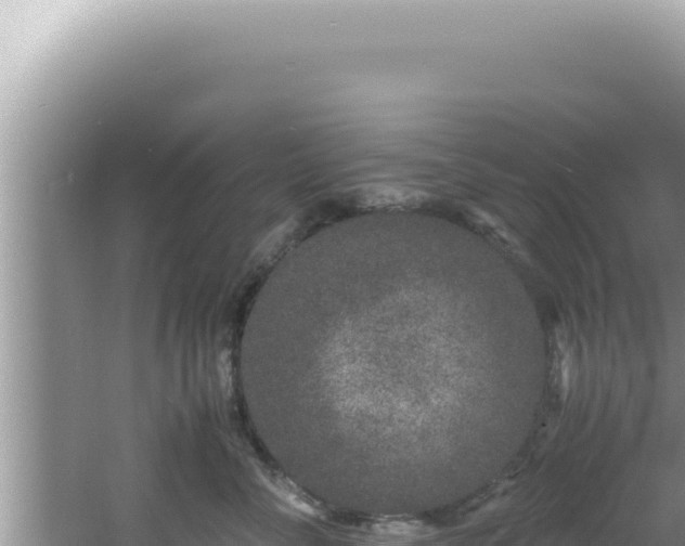 X0000061720716200512092000